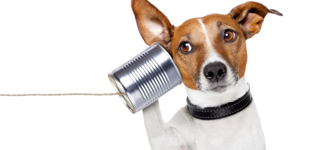 Abmahnung Uli Stein Catprint Media Bernd Gucia